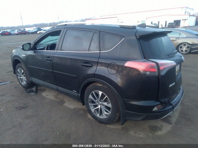 2016 Toyota RAV4, VIN: JTMRJREV5GD044981