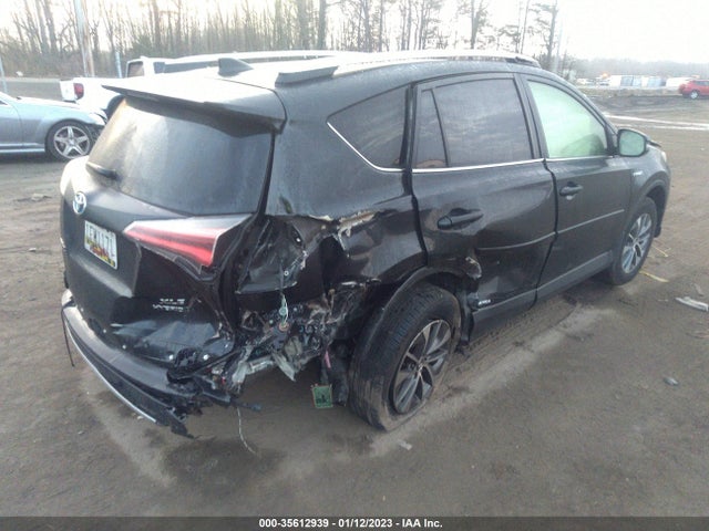 2016 Toyota RAV4, VIN: JTMRJREV5GD044981
