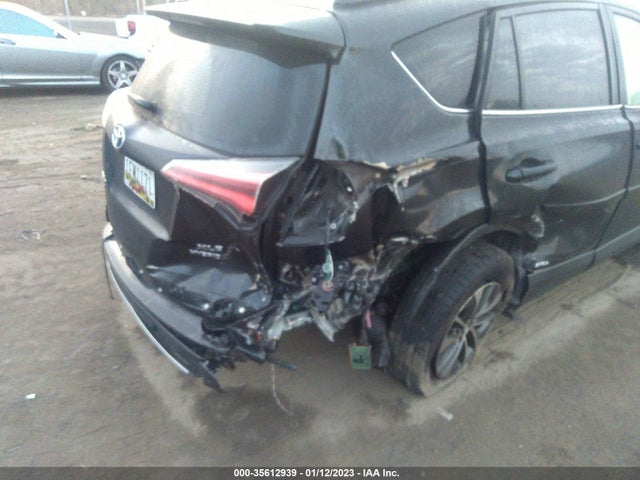 2016 Toyota RAV4, VIN: JTMRJREV5GD044981