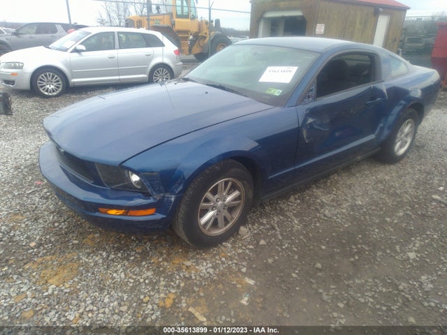 2008 FORD MUSTANG DELUXE/PREMIUM VIN: 1ZVHT80N285150143