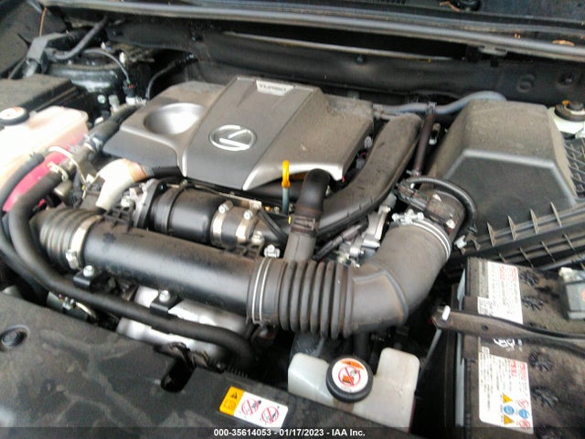 2020 Lexus NX, VIN: JTJDARBZ4L2176456
