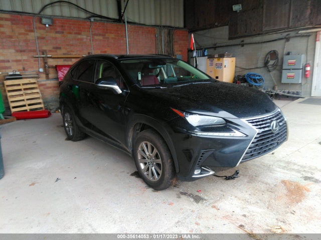 2020 Lexus NX, VIN: JTJDARBZ4L2176456