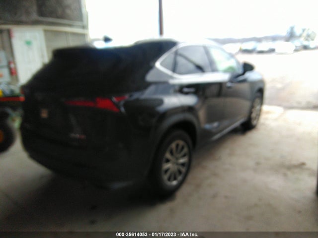 2020 Lexus NX, VIN: JTJDARBZ4L2176456