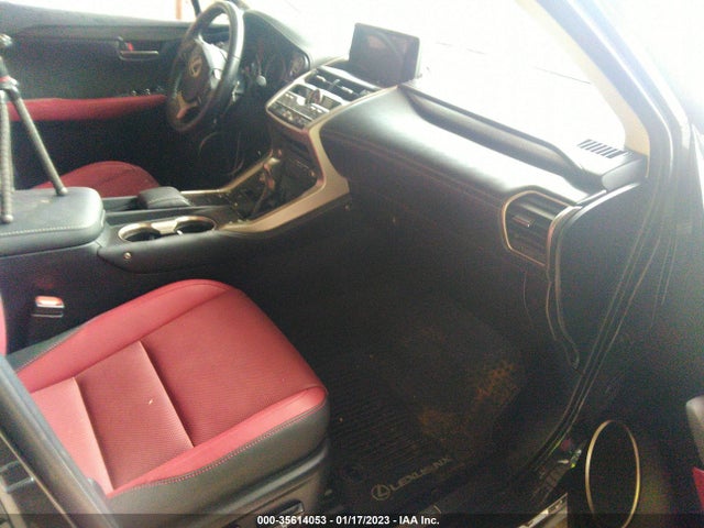 2020 Lexus NX, VIN: JTJDARBZ4L2176456