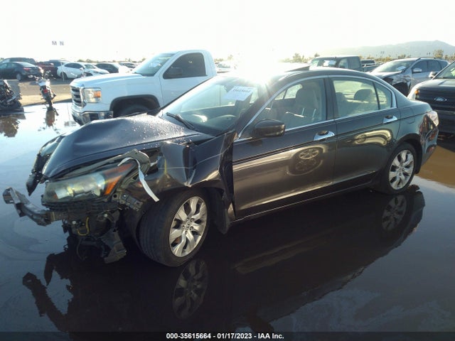 2011 HONDA ACCORD SDN EX-L VIN: 1HGCP3F80BA011960