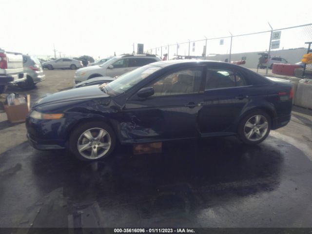 19UUA66216A013189 Acura TL