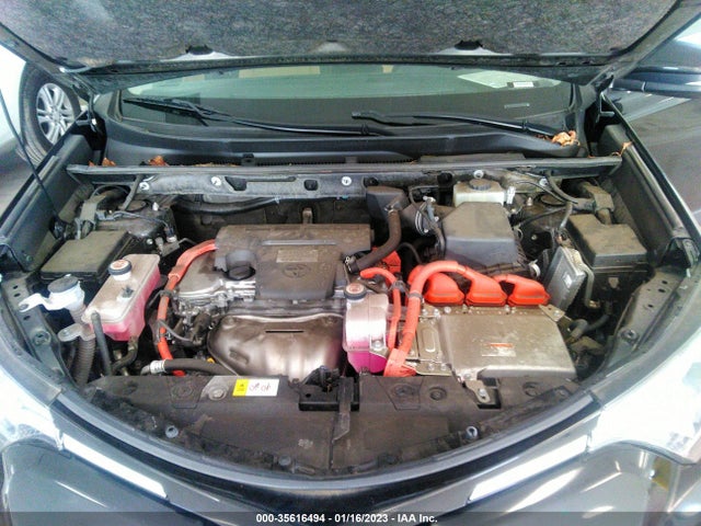 2016 Toyota RAV4, VIN: JTMRJREV9GD057703