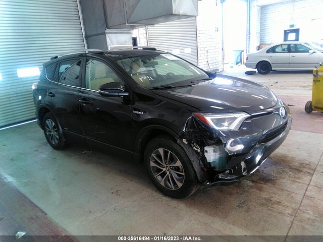 2016 Toyota RAV4, VIN: JTMRJREV9GD057703