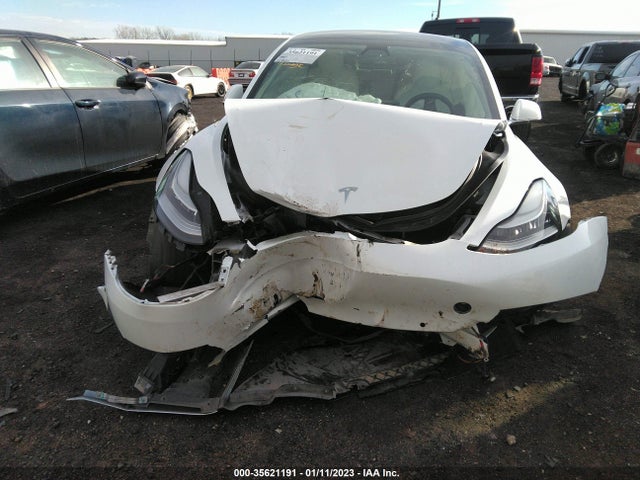 Tesla Model 3 Range 2019 5YJ3E1EA0KF486500 Image 7
