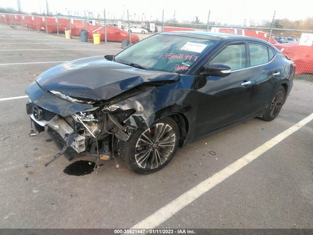 Nissan Maxima 3.5 Platinum 2016 1N4AA6AP4GC399820 Image 2