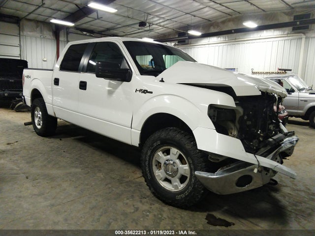 2013 FORD F-150 XL/XLT/FX4/LARIAT VIN: 1FTFW1EF5DFB68246
