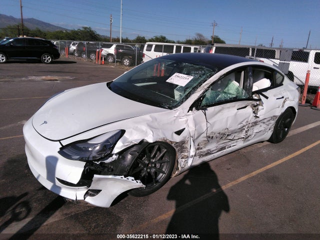 Tesla MODEL 3 2023 5YJ3E1EA5PF384648 Image 2