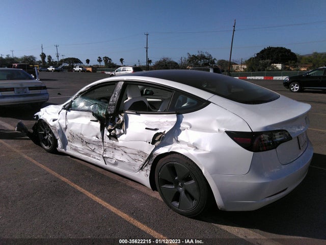 Tesla MODEL 3 2023 5YJ3E1EA5PF384648 Image 3