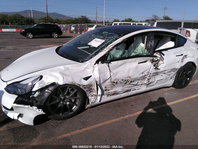 Tesla MODEL 3 2023 5YJ3E1EA5PF384648 Image 6