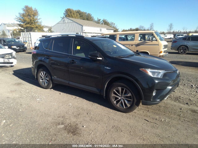 2016 Toyota RAV4, VIN: JTMRJREV7GD035814