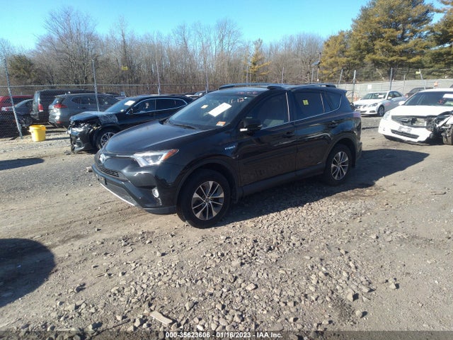2016 Toyota RAV4, VIN: JTMRJREV7GD035814