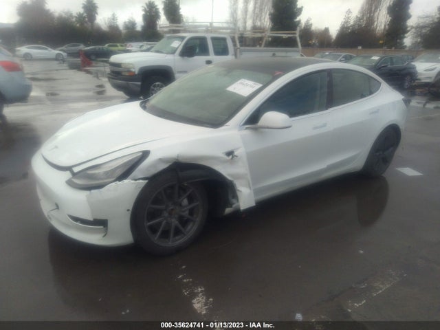 Tesla MODEL 3 2020 5YJ3E1EB9LF665614 Image 2