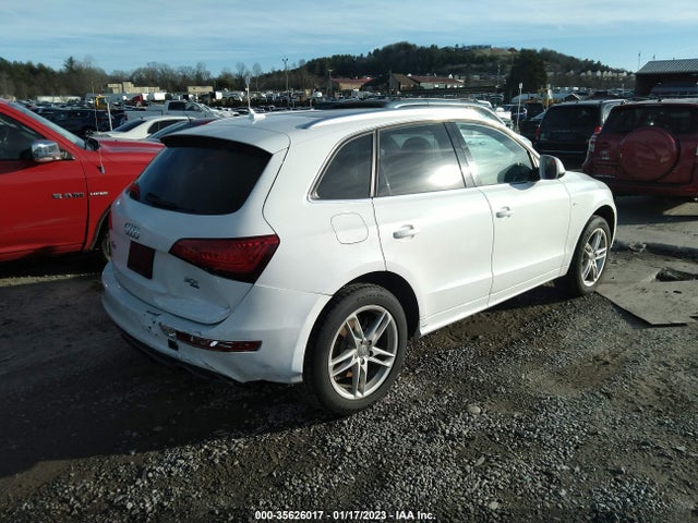 2013 AUDI Q5 PREMIUM PLUS VIN: WA1DGAFP4DA029888