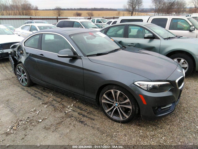 2017 BMW 2 Series, VIN: WBA2H9C37H7A25816