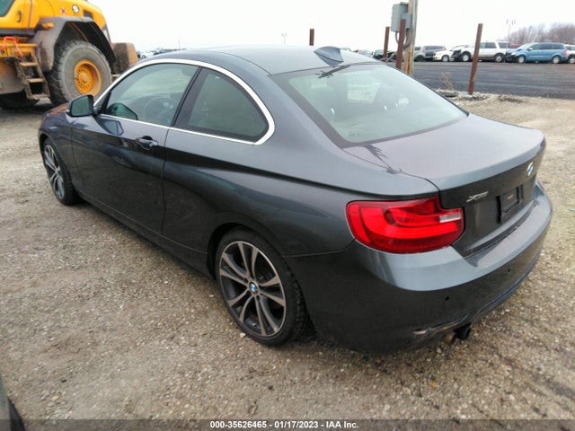 2017 BMW 2 Series, VIN: WBA2H9C37H7A25816