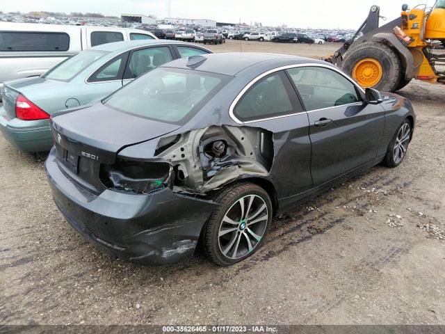 2017 BMW 2 Series, VIN: WBA2H9C37H7A25816