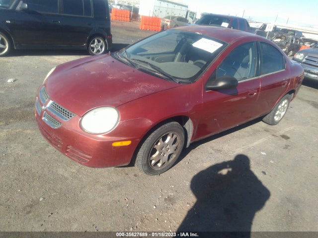 Dodge NEON SXT 2004 1B3ES56C34D542000 Image 2