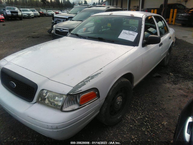 2008 FORD POLICE INTERCEPTOR VIN: 2FAFP71VX8X151441