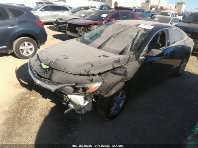 Chevrolet MALIBU LS 2022 1G1ZB5STXNF213024 Image 2