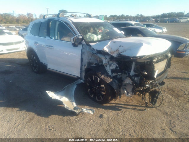 2023 Kia Telluride, VIN: 5XYP5DGC5PG328896