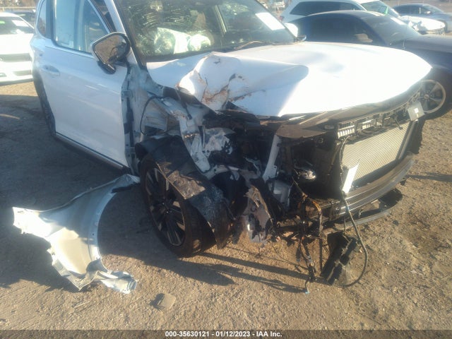 2023 Kia Telluride, VIN: 5XYP5DGC5PG328896