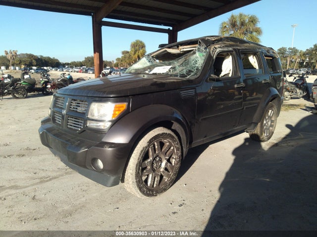 Dodge Nitro 2010 1D4PU4GK7AW165420 Image 2
