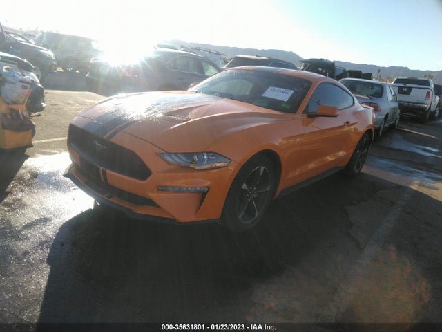 2019 Ford Mustang, VIN: 1FA6P8TH7K5194057