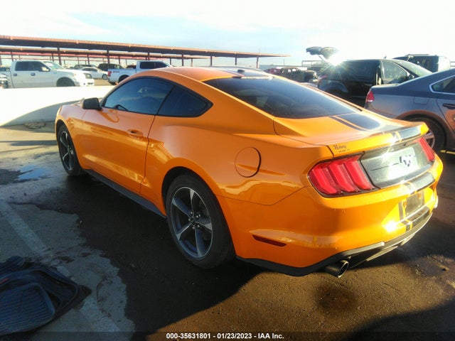 2019 Ford Mustang, VIN: 1FA6P8TH7K5194057