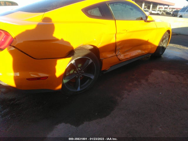 2019 Ford Mustang, VIN: 1FA6P8TH7K5194057