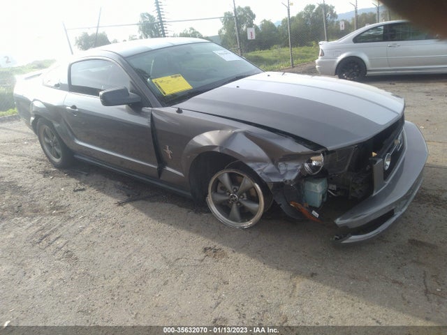 2006 FORD MUSTANG STANDARD/DELUXE/PREMIUM VIN: 1ZVFT80N965183547