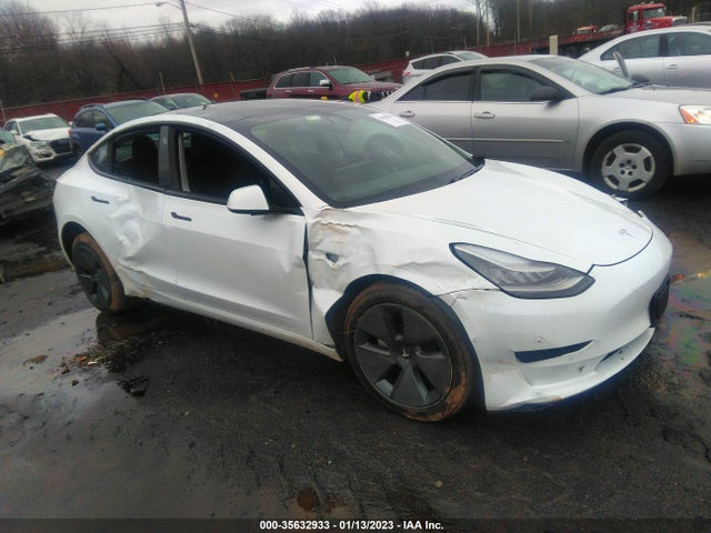 2021 5YJ3E1EA1MF859823 main image