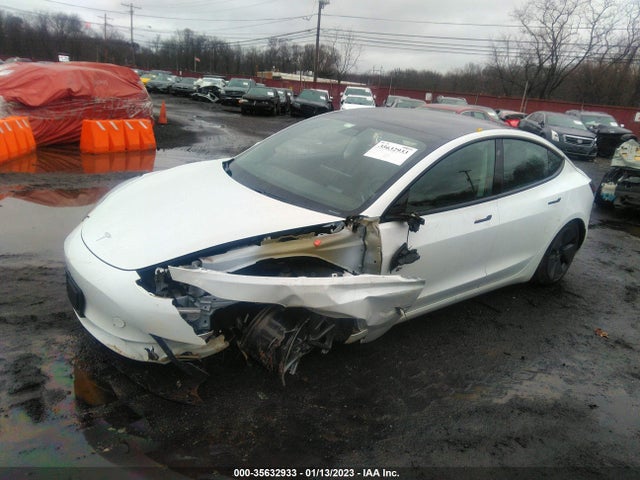 Tesla Model 3 Standard Range Plus 2021 5YJ3E1EA1MF859823 Image 2