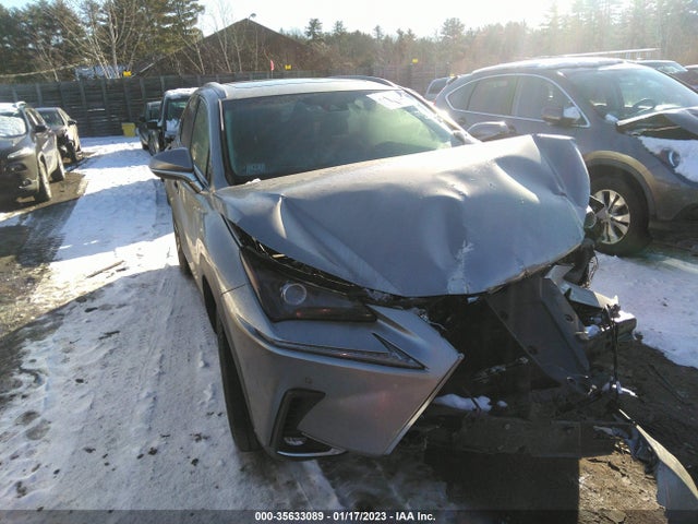 2018 Lexus NX, VIN: JTJBJRBZ7J2095293