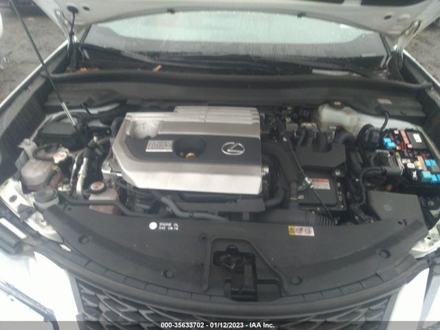 2020 Lexus UX, VIN: JTHR9JBH1L2031416