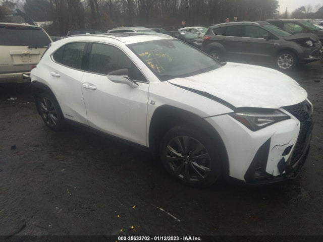 2020 Lexus UX, VIN: JTHR9JBH1L2031416