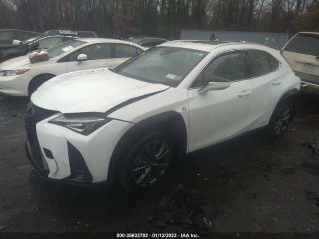 2020 Lexus UX, VIN: JTHR9JBH1L2031416