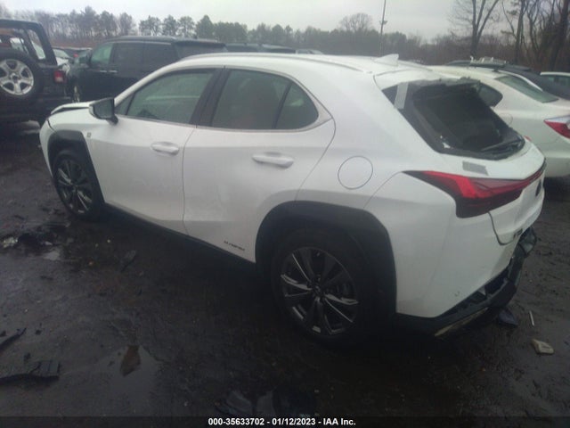 2020 Lexus UX, VIN: JTHR9JBH1L2031416