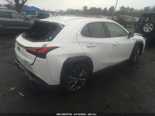 2020 Lexus UX, VIN: JTHR9JBH1L2031416