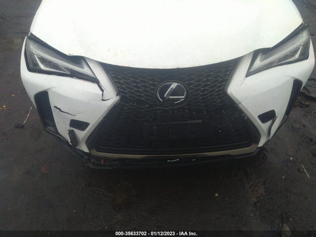2020 Lexus UX, VIN: JTHR9JBH1L2031416