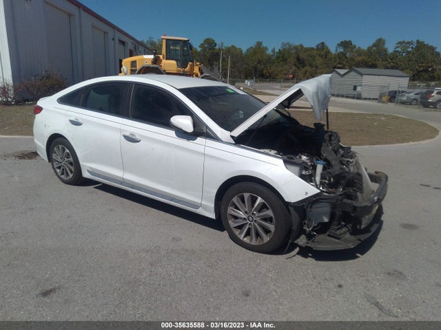 2016 5NPE34AF2GH262445 main image