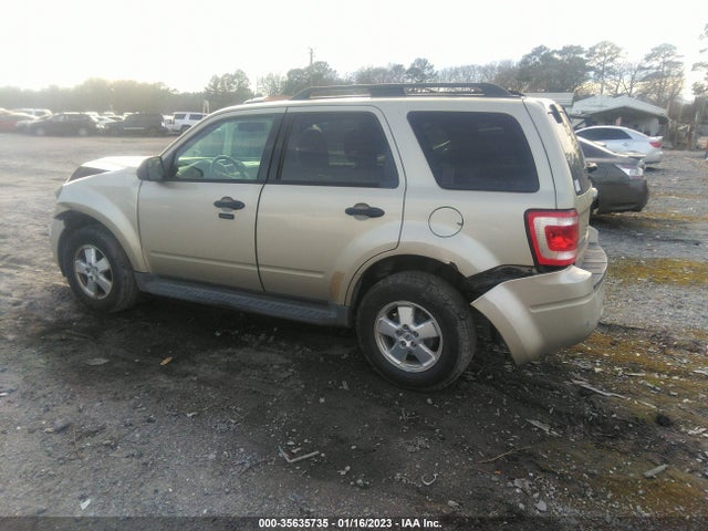 2011 FORD ESCAPE XLT VIN: 1FMCU9DG9BKA71875