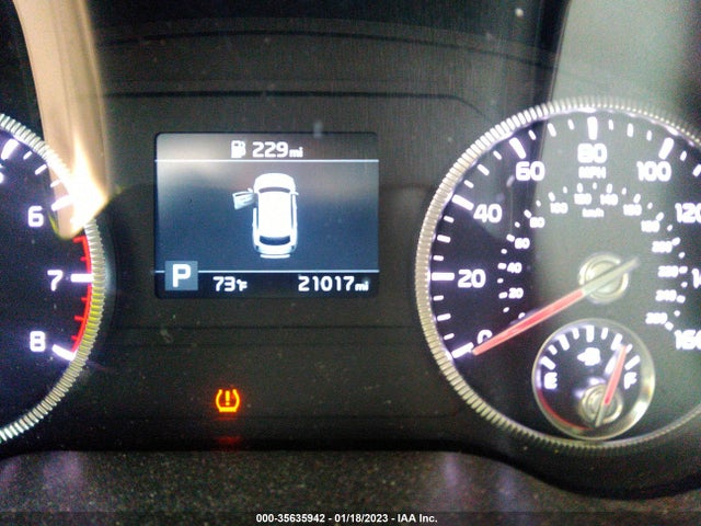 2021 Kia Telluride, VIN: 5XYP24HC8MG171951