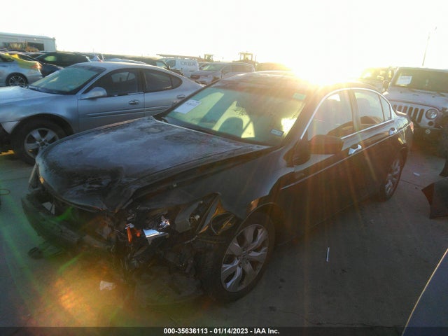 2009 HONDA ACCORD SDN EX-L VIN: 5KBCP36859B002608
