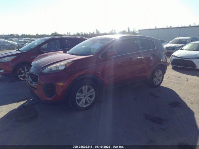 KNDPM3AC7H7232854 KIA Sportage Lx