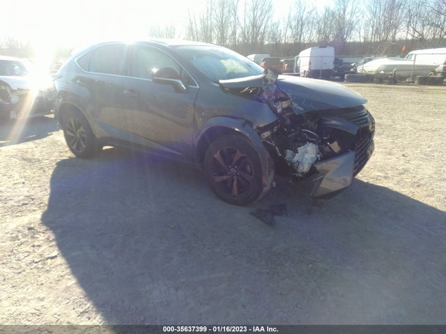 2020 Lexus NX, VIN: JTJGARDZ1L2229091